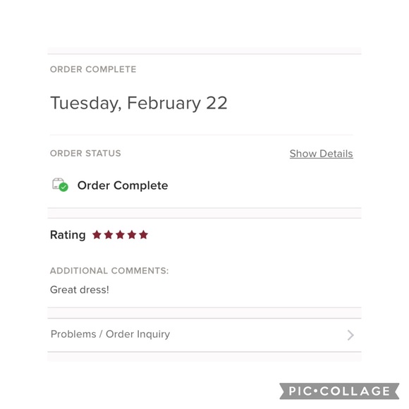 Adrianna Papell beaded nude mesh sheath dress - Picture 8 of 10